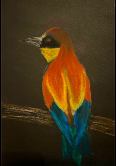 Farbenfroher Vogel mit orange-, gelb- und blauen Federn, auf einem Ast sitzend.